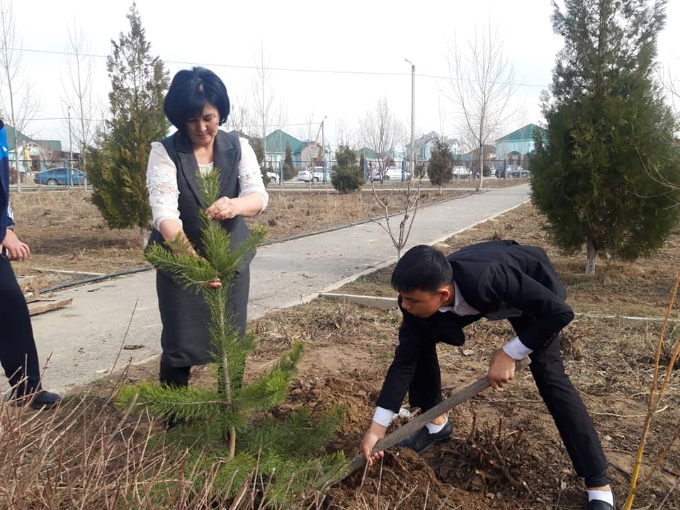 Менің ағашым менімен бірге өседі