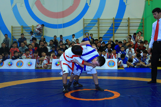 Дене шынықтыру пәндеріне Қазақ күресі енгізілмек