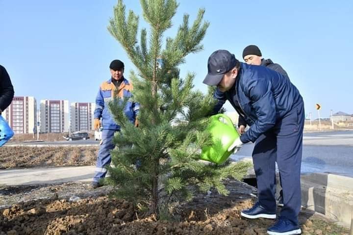 ШЫМКЕНТТЕ 6000-НАН АСТАМ КӨШЕТ ОТЫРҒЫЗЫЛДЫ