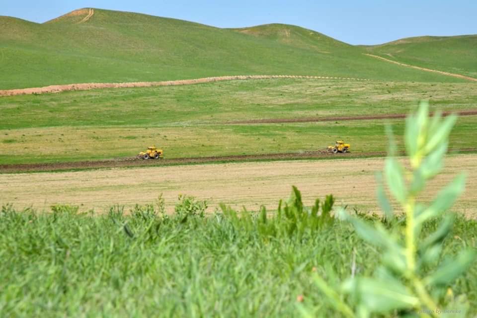 КӨКТЕМГІ ДАЛА ЖҰМЫСТАРЫНА ҚАЖЕТТІ ЖАНАРМАЙ ҚҰНЫ ТӨМЕНДЕДІ