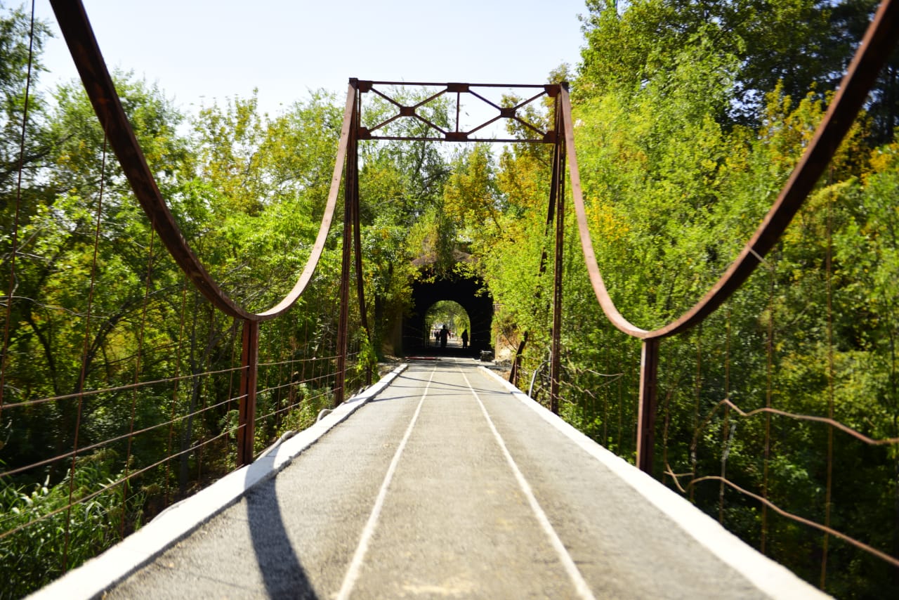 ШЫМКЕНТ: ДЕНДРОСАЯБАҚ ЖАҢА КЕЙІПКЕ ЕНЕДІ