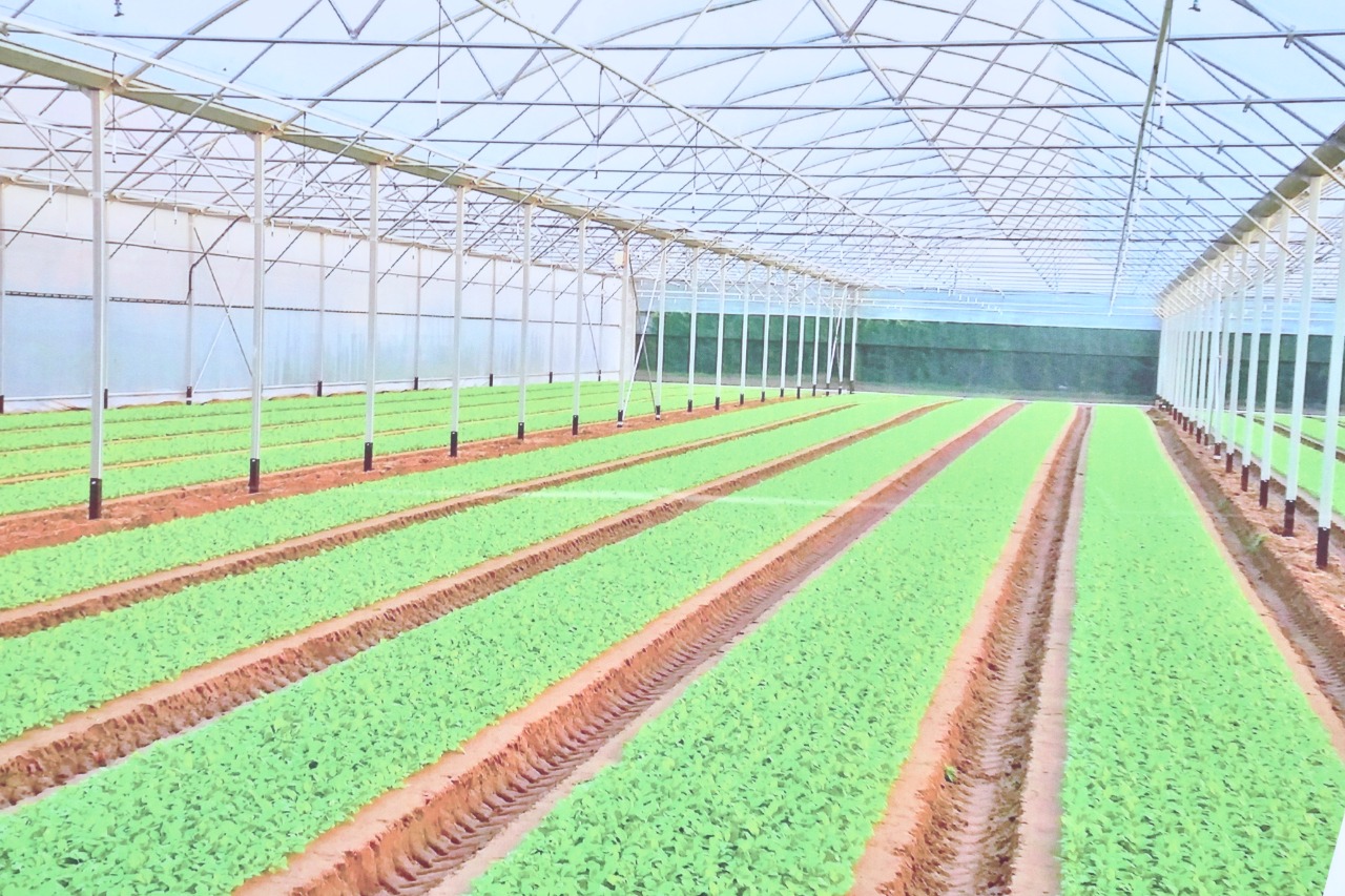 «ТЕПЛИЧНЫЙ РАЙ» АГРО-ИНДУСТРИЯЛДЫ АЙМАҒЫНЫҢ ҚҰРЫЛЫСЫ БАСТАЛДЫ