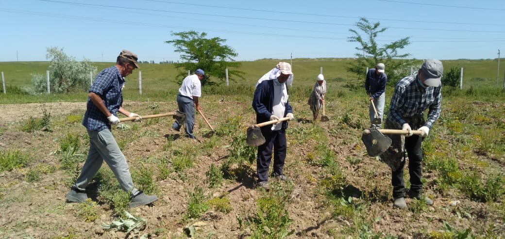 ШЫМКЕНТТІҢ ЖАСЫЛ АЙМАҒЫ 13 МЫҢ ГЕКТАРҒА ҰЛҒАЙТЫЛАДЫ