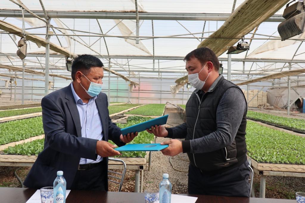 АСАР ШАҒЫНАУДАНЫНДА 100 ОТБАСЫ ЖҰМЫСПЕН ҚАМТЫЛАДЫ