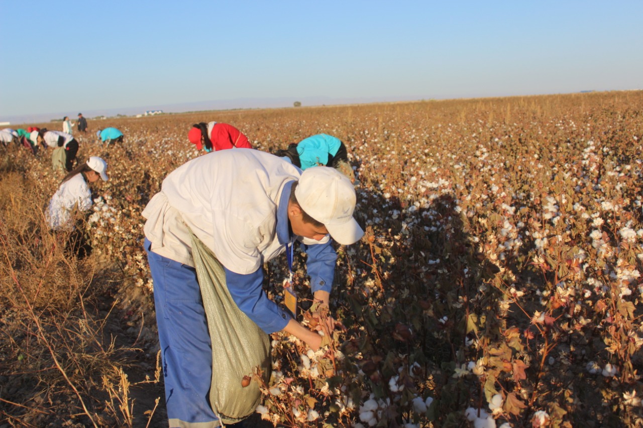 ТҮРКІСТАН: «МАЛ МЕН ЕГІН – КӨЛ-КӨСІР ӨНІМ» САЙЫСЫ ӨТТІ