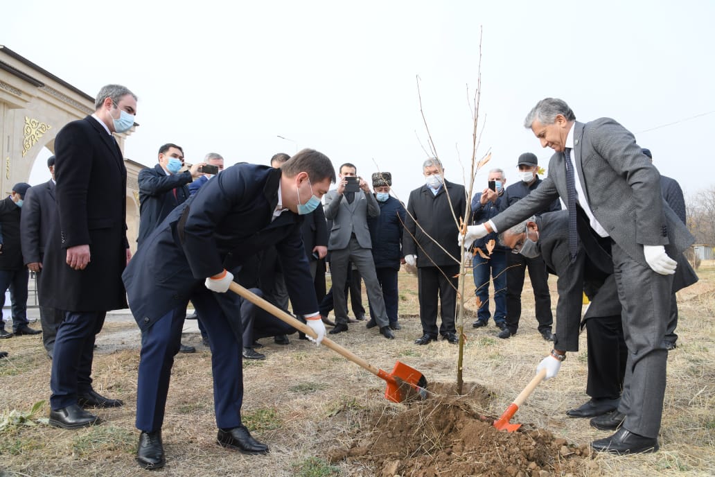 ШЫМКЕНТТІҢ 2200 ЖЫЛДЫҒЫНА 2200 ТҮП АҒАШ КӨШЕТІ ОТЫРҒЫЗЫЛАДЫ