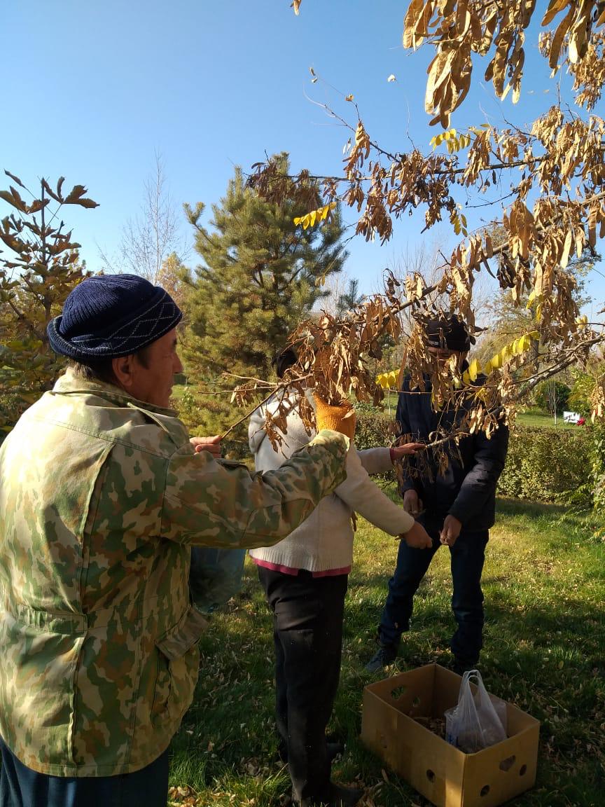 ШЫМКЕНТ: ОРМАН ТҰҚЫМБАҒЫНДА КӨКТЕМГЕ ДАЙЫНДЫҚ ЖҰМЫСТАРЫ ЖҮРГІЗІЛІП ЖАТЫР