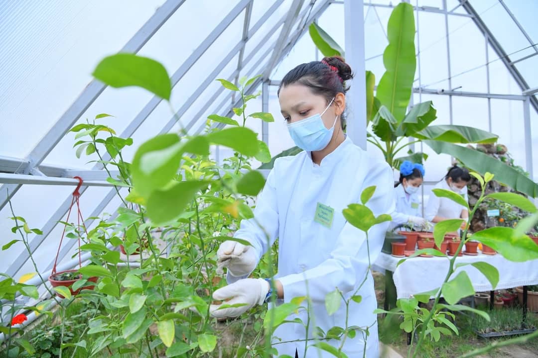 ШЫМКЕНТ: №89 МЕКТЕП-ЛИЦЕЙІ ШАХМАТ ПЕН ЭКОЛОГИЯЛЫҚ БАҒЫТТА БІЛІМ БЕРУДЕ КӨШБАСШЫ