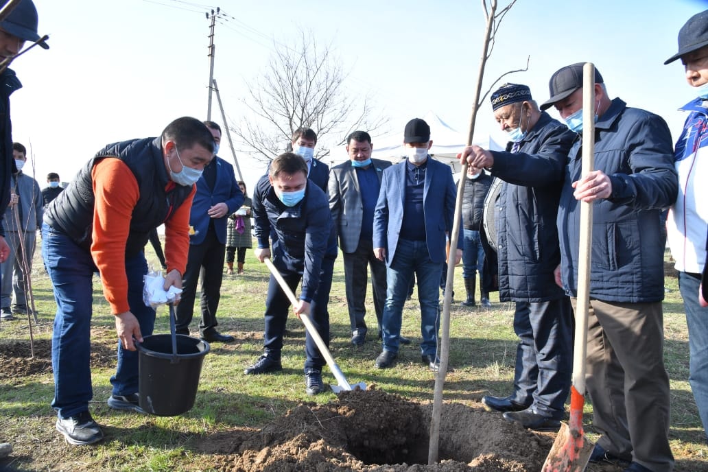 ШЫМКЕНТТЕ КӨКТЕМНІҢ АЛҒАШҚЫ АПТАСЫНДА 20 МЫҢ ТҮП АҒАШ ОТЫРҒЫЗЫЛДЫ