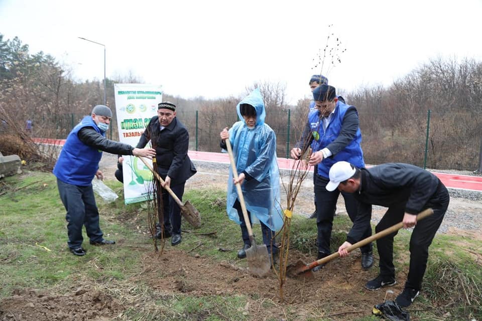 ШЫМКЕНТ: ДЕНДРОСАЯБАҚТА 205 ТҮП КӨШЕТ ОТЫРҒЫЗЫЛДЫ